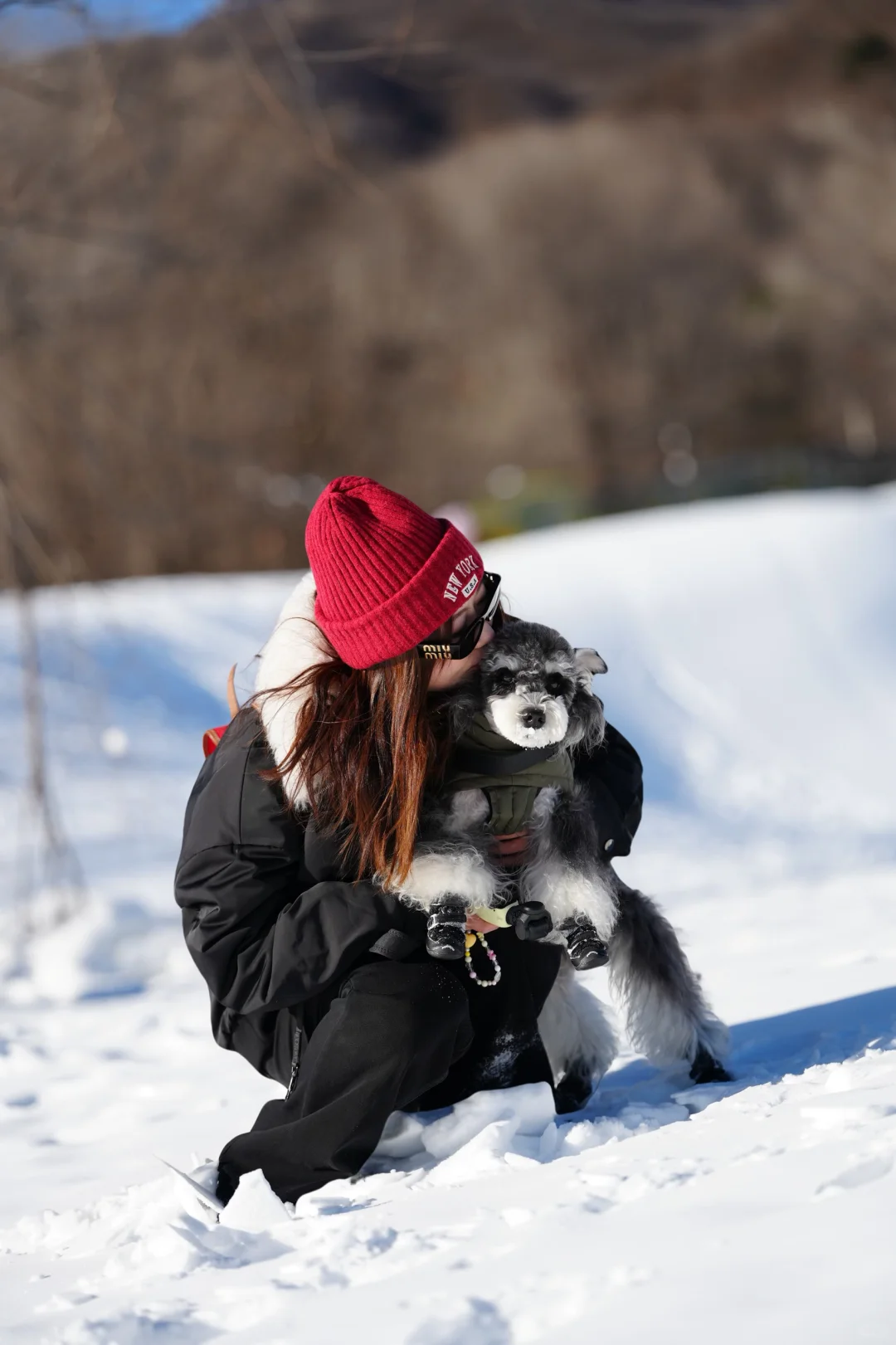 北京遛狗党!玉渡山玩雪太快乐了