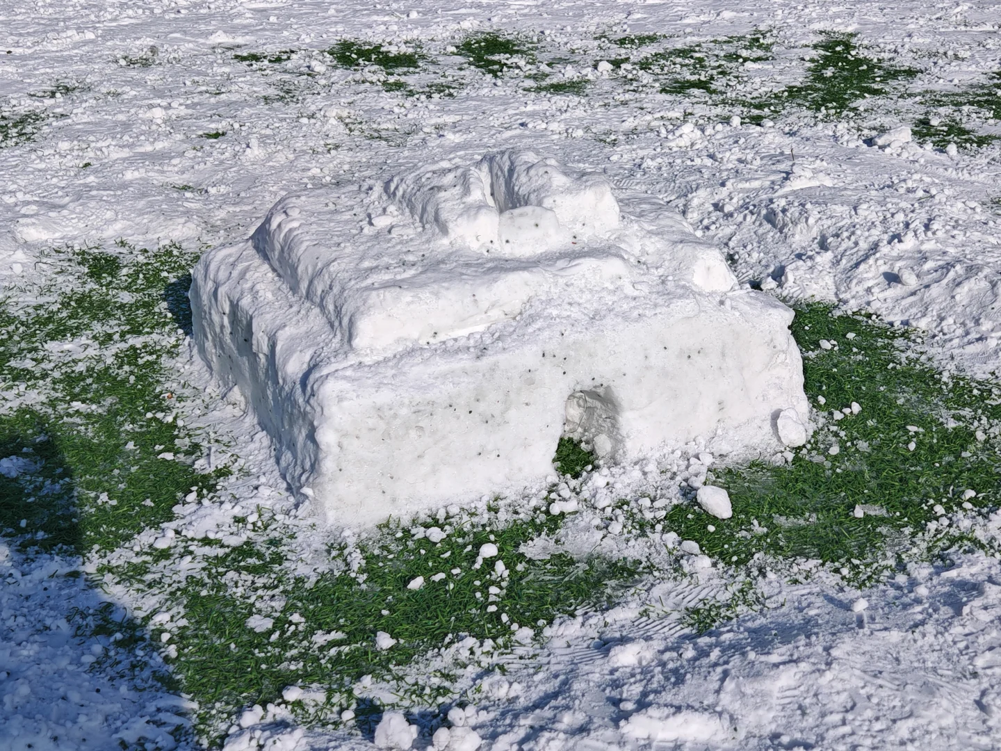 已严肃参观清华紫操