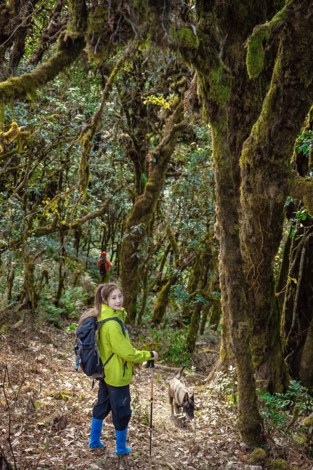 腾冲旅行小记｜吃、住、游玩、都分享一点