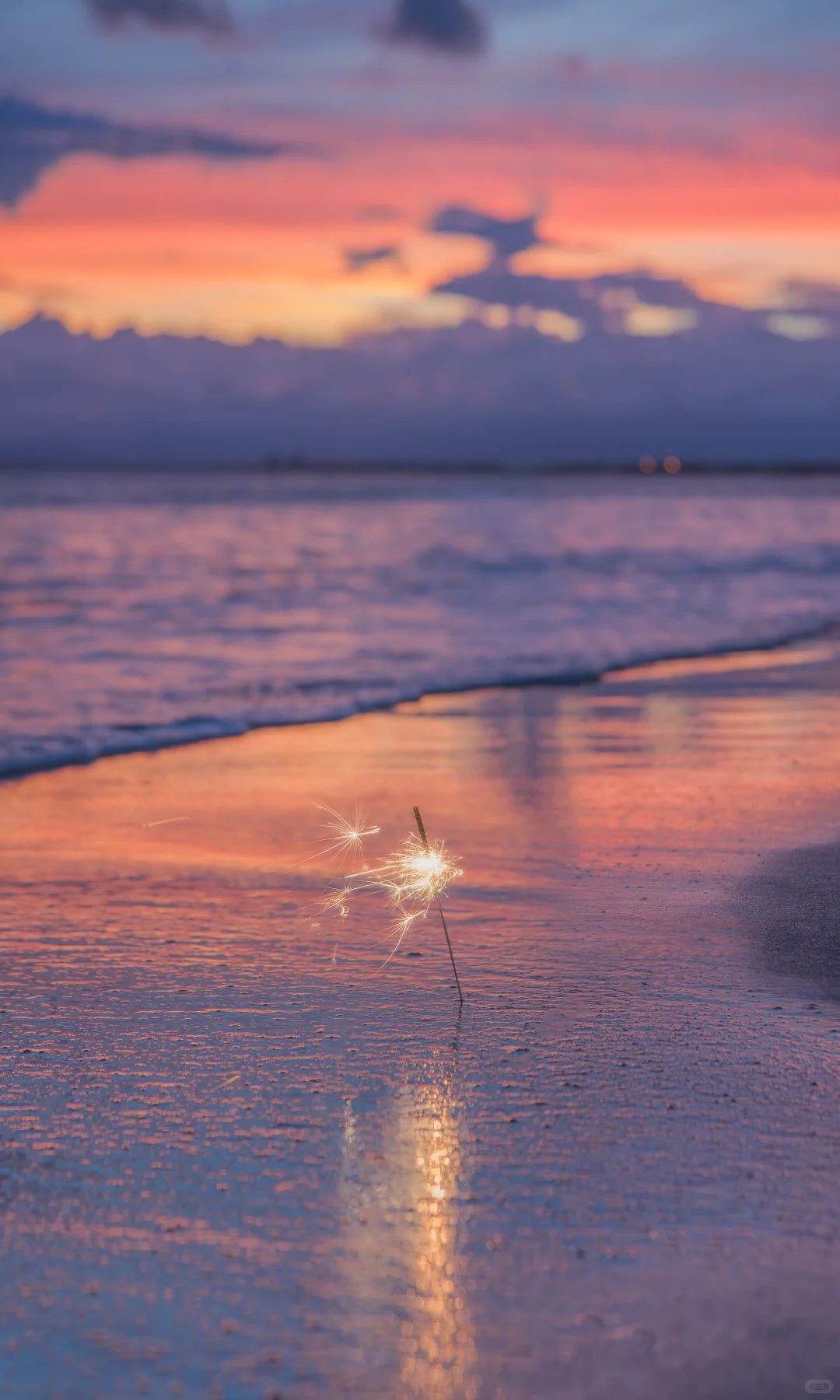 用中画幅哈苏拍照的第一年 📷