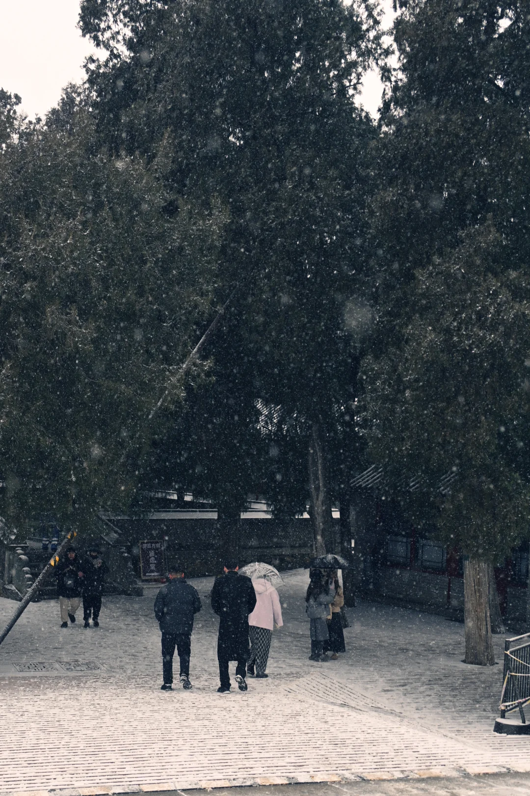 古法过冬丨上下一白