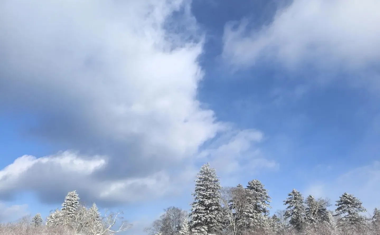 雪岭，是纳尼尔传奇跌进了现实的冰雪王国