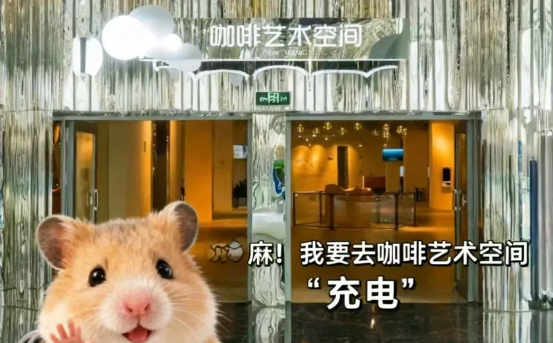 麻!当你看到这封信的时候...