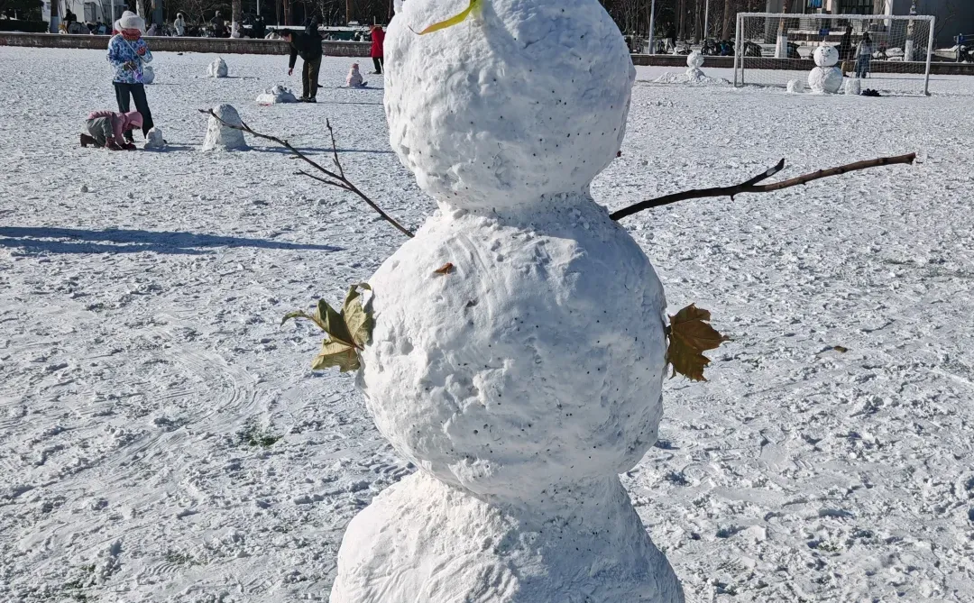 已严肃参观清华紫操