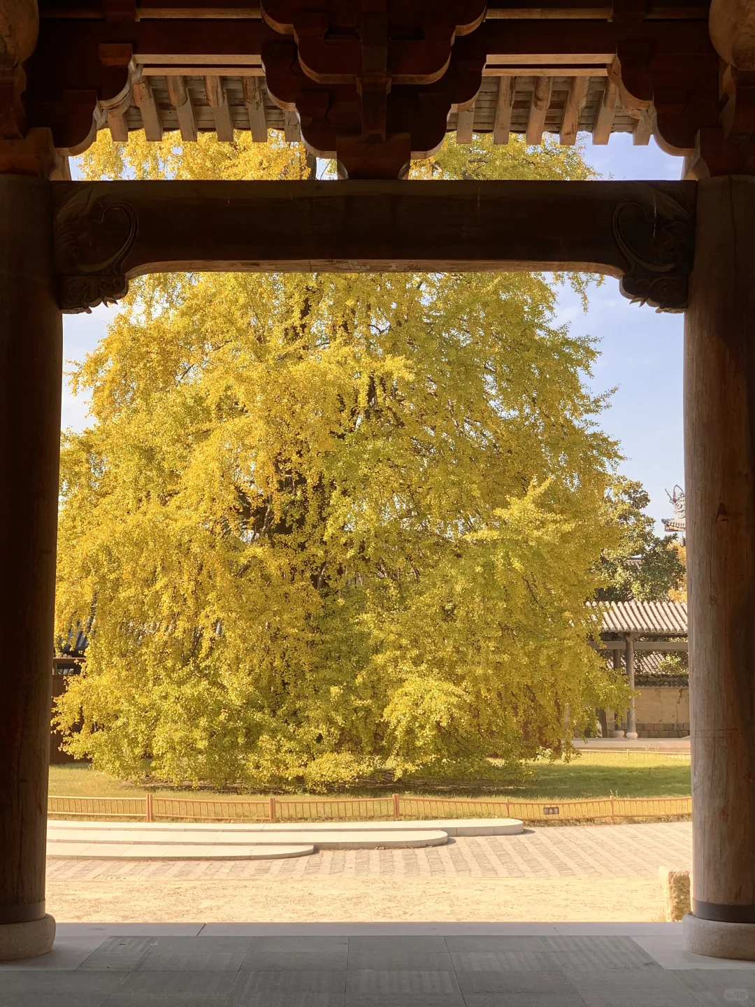 江浙沪严重被低估的宝藏古镇！！！（附攻略