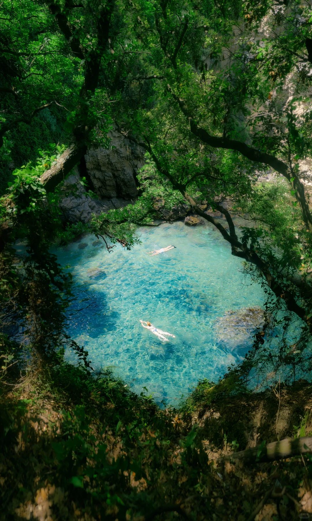 用中画幅哈苏拍照的第一年 📷