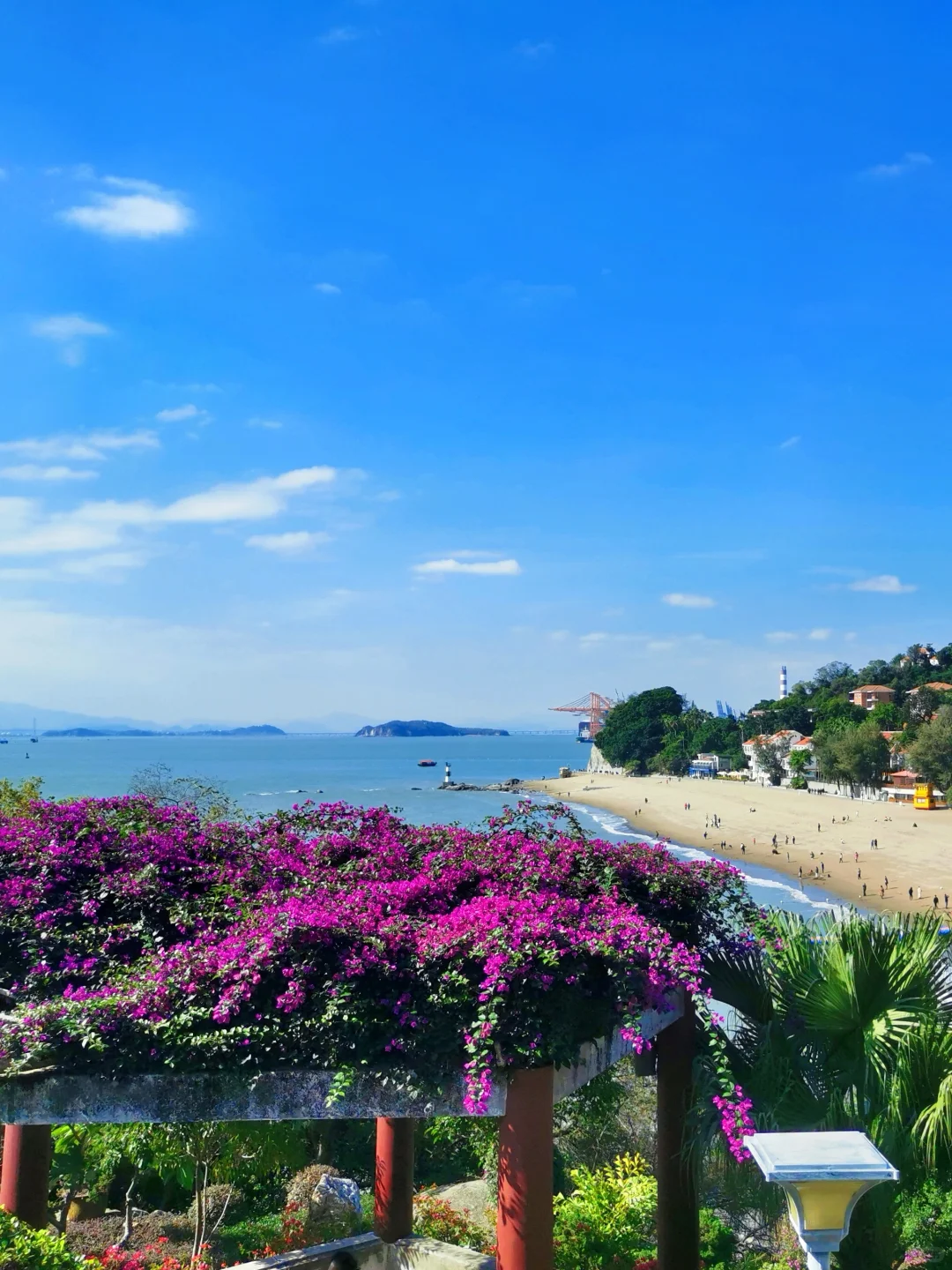 📍鼓浪屿的浪漫，花与海各占一半