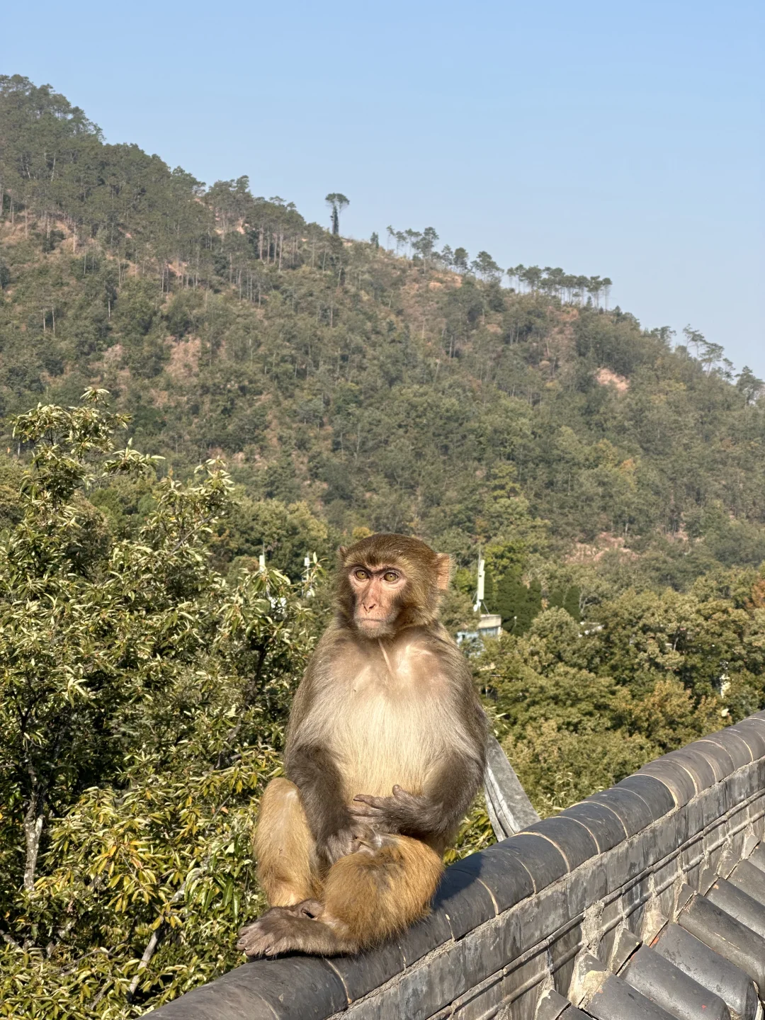 西昌泸山 爬过的你们嘴可真严啊
