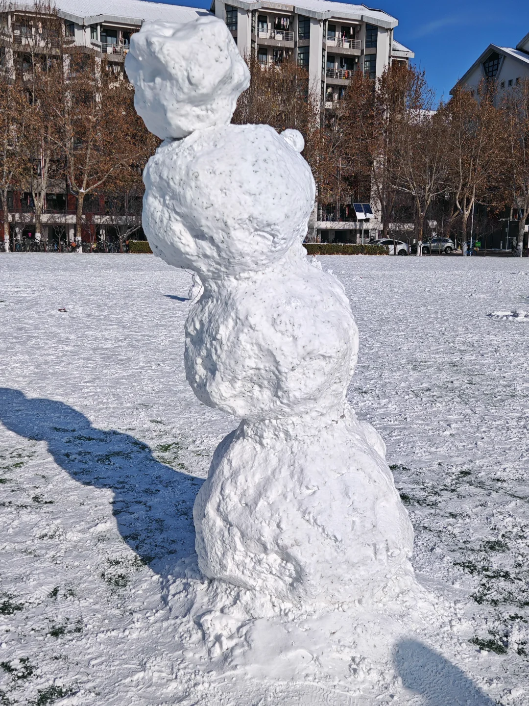 已严肃参观清华紫操