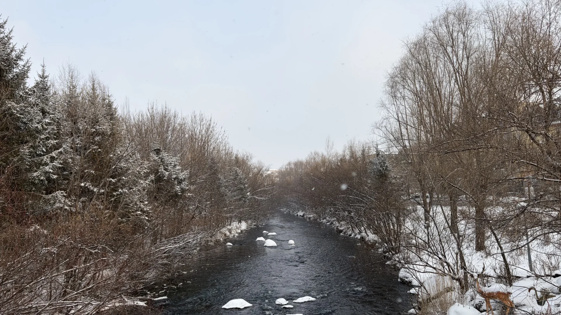 下个冬天，东北见！❄️❄️