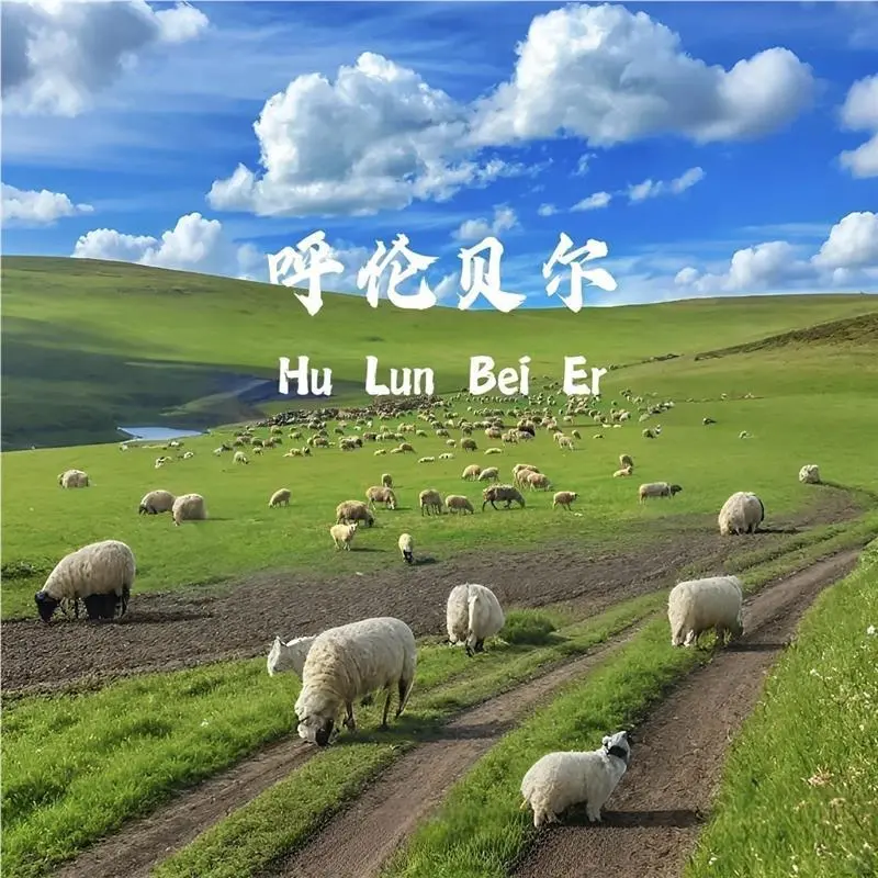 呼伦贝尔自由行攻略