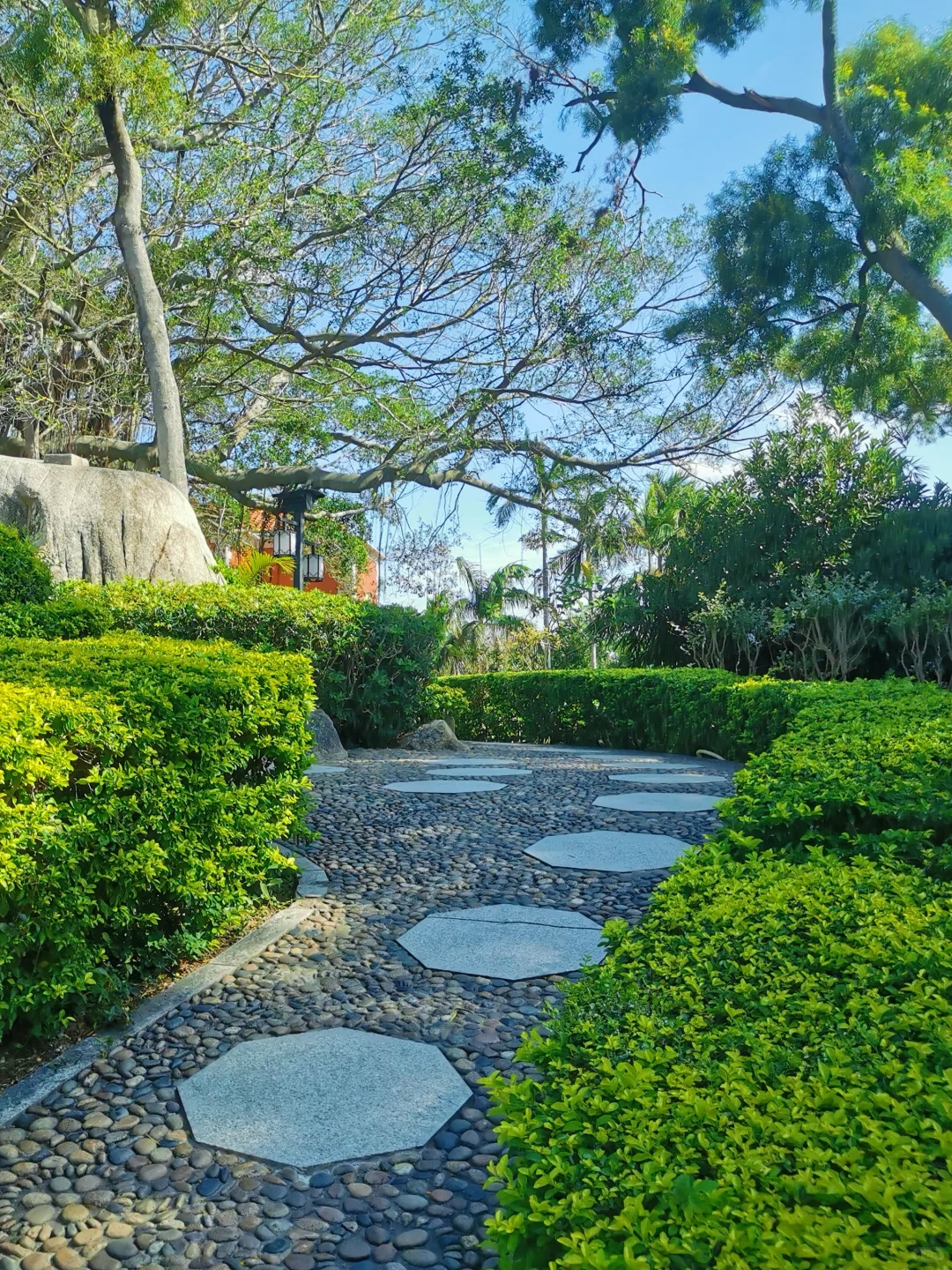 📍鼓浪屿的浪漫，花与海各占一半