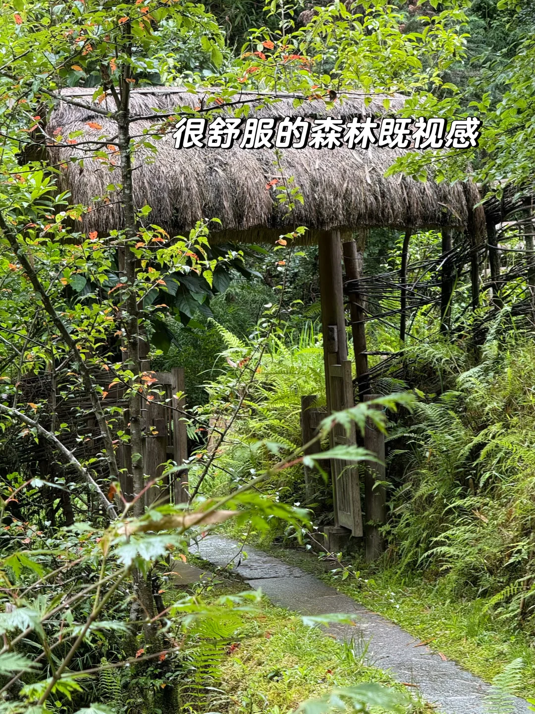 腾冲旅行小记｜吃、住、游玩、都分享一点