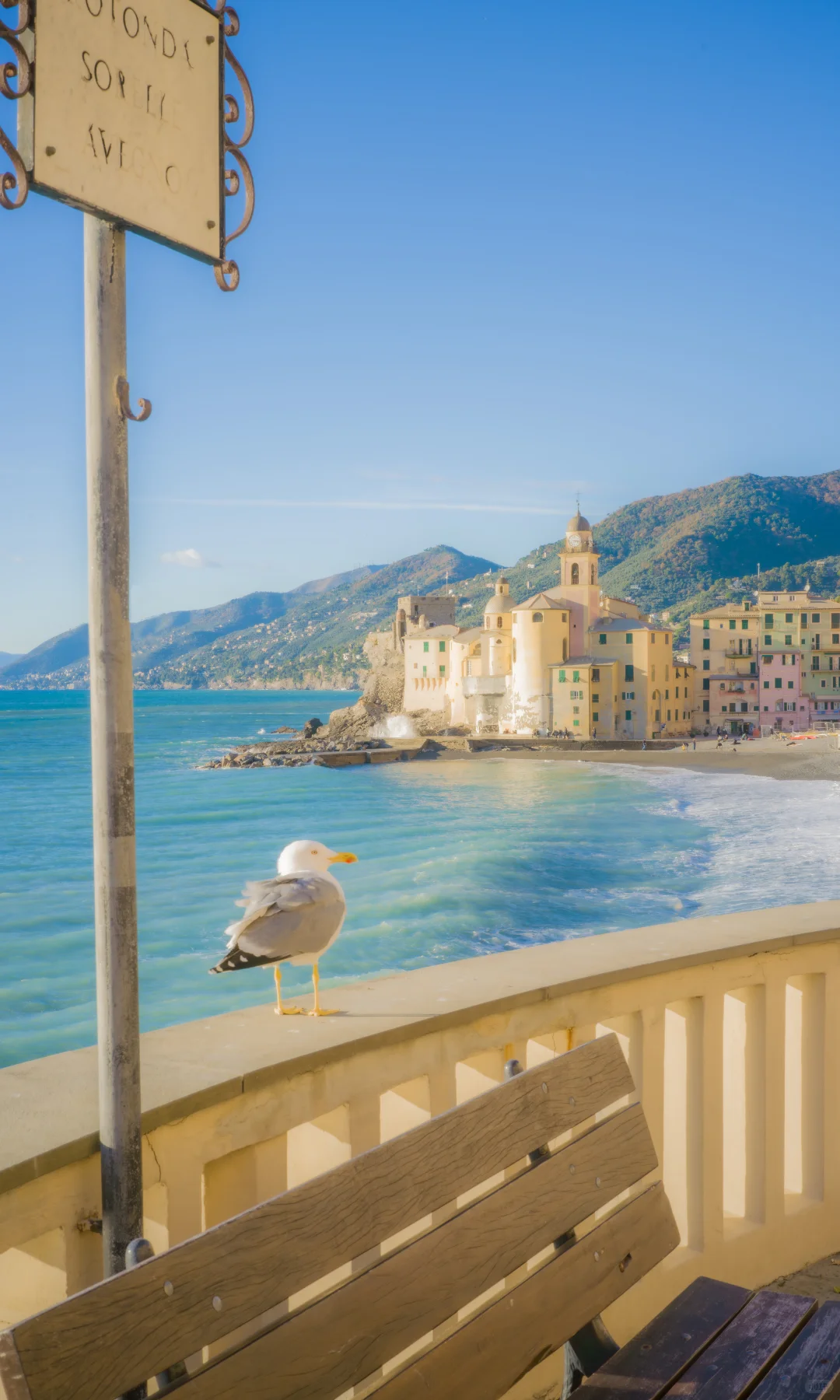 用中画幅哈苏拍照的第一年 📷