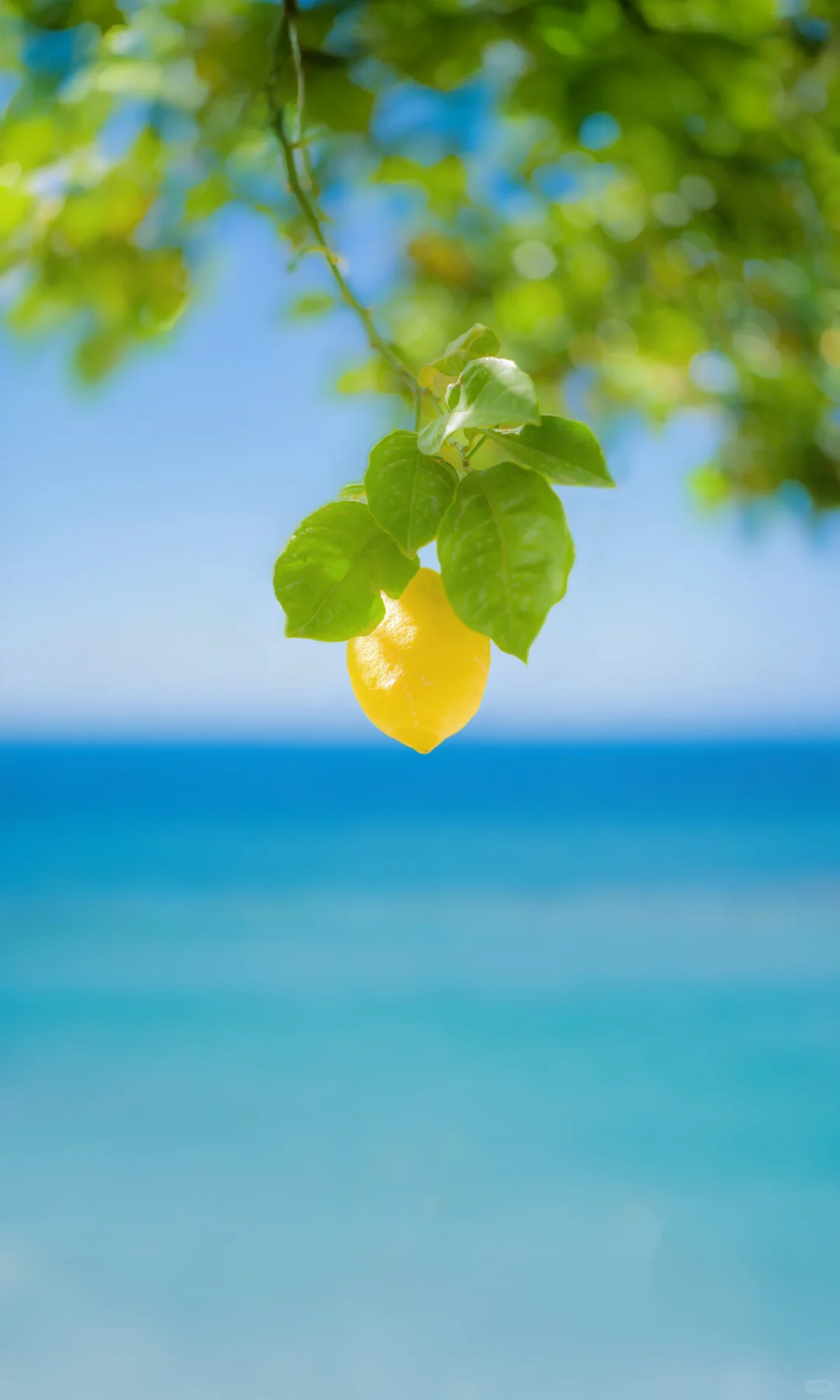 用中画幅哈苏拍照的第一年 📷