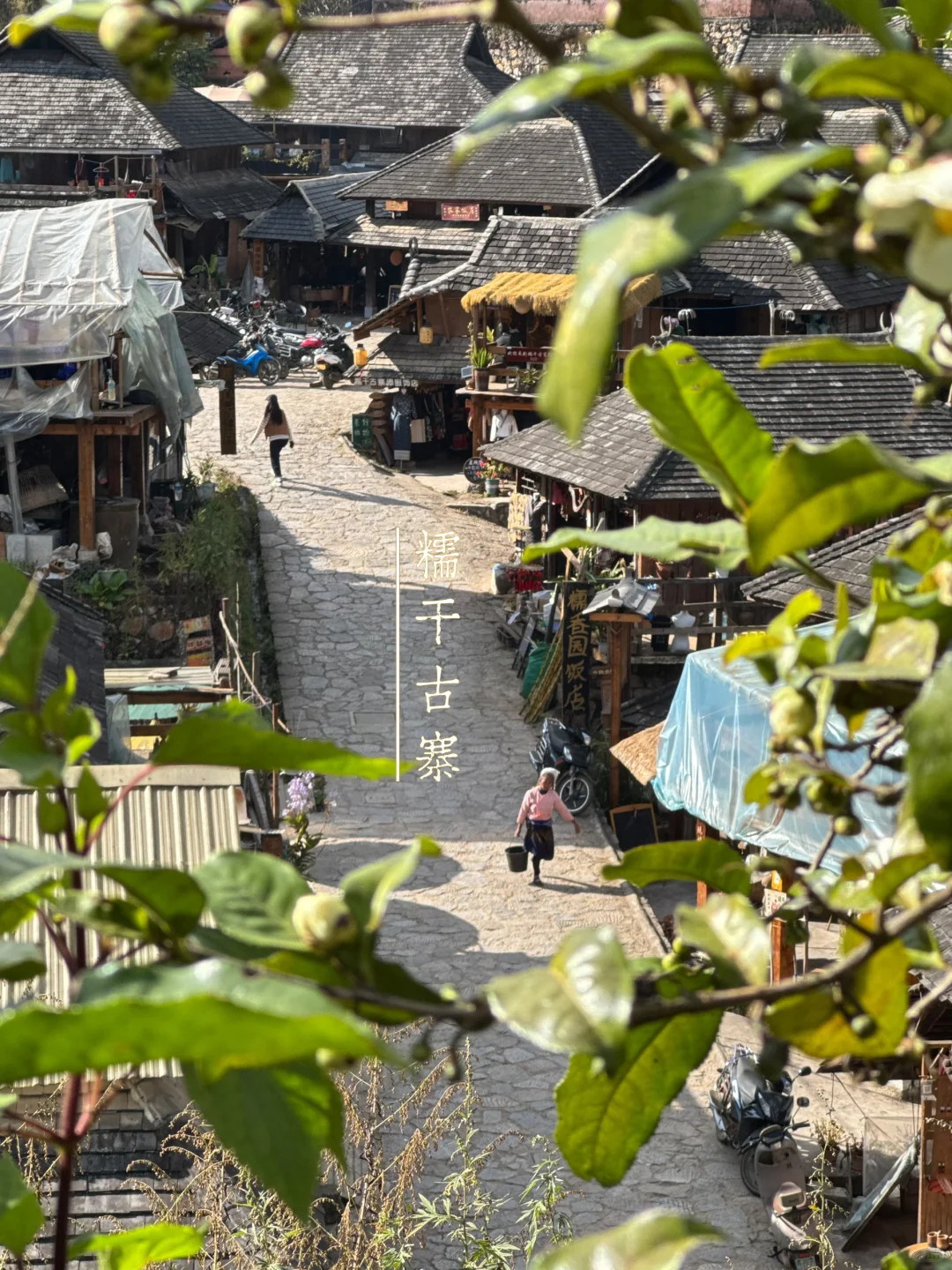 最值得去的小众旅游地: 景迈山，早去早享受