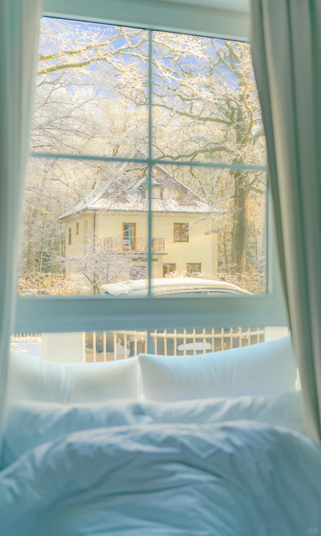 用中画幅哈苏拍照的第一年 📷