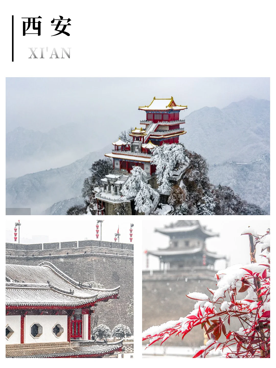 去西安旅游，选对方式太重要了‼️