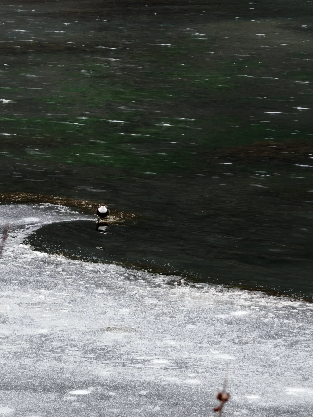 12.23｜毕棚沟之旅