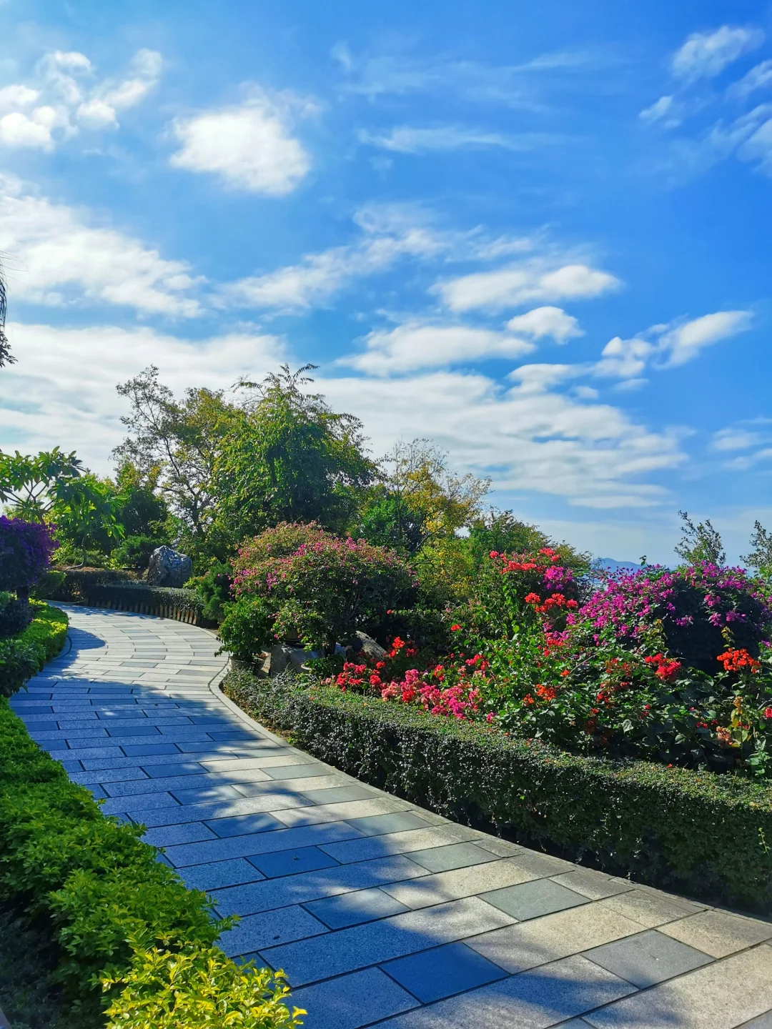 📍鼓浪屿的浪漫，花与海各占一半