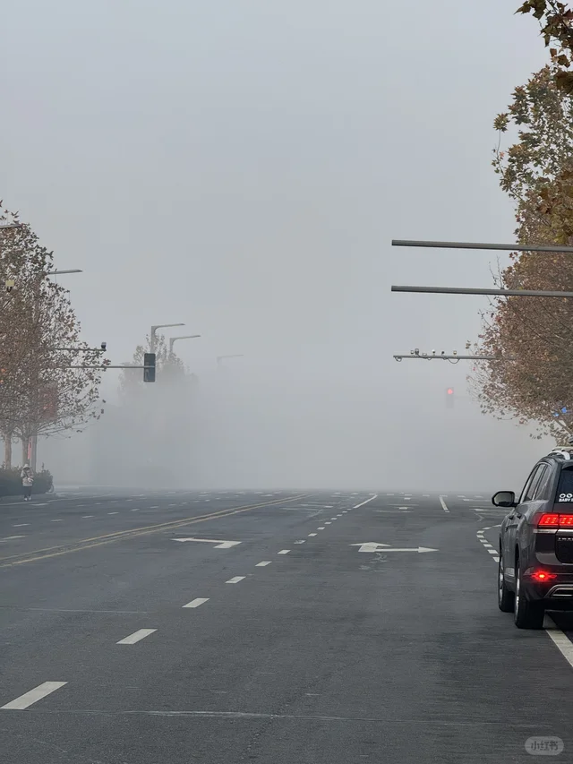今天的郑州真让人恍惚