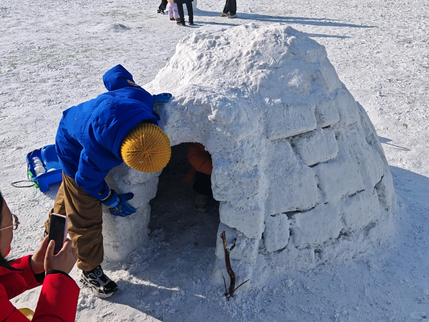 已严肃参观清华紫操