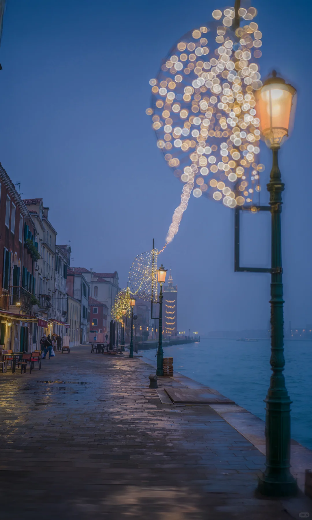 用中画幅哈苏拍照的第一年 📷