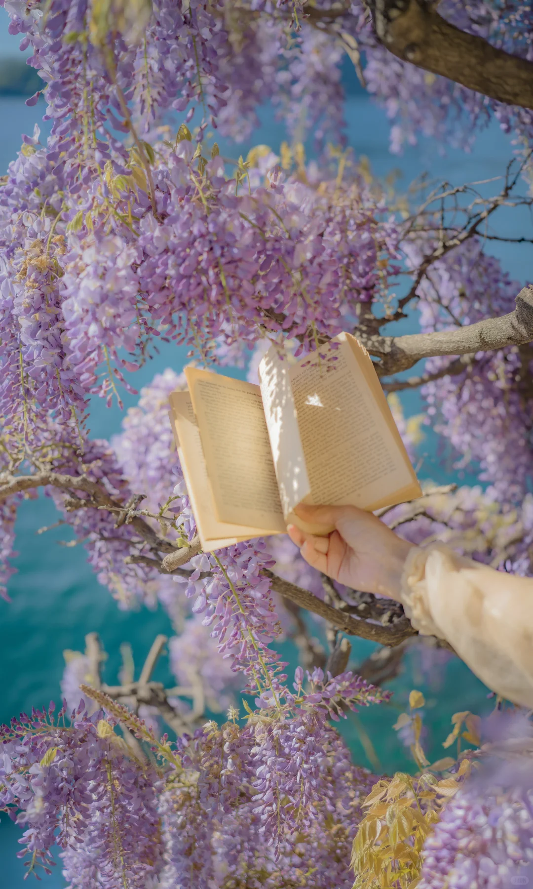 用中画幅哈苏拍照的第一年 📷