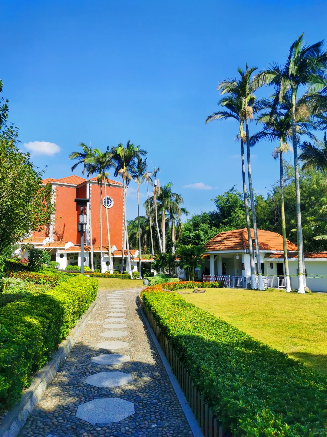 📍鼓浪屿的浪漫，花与海各占一半
