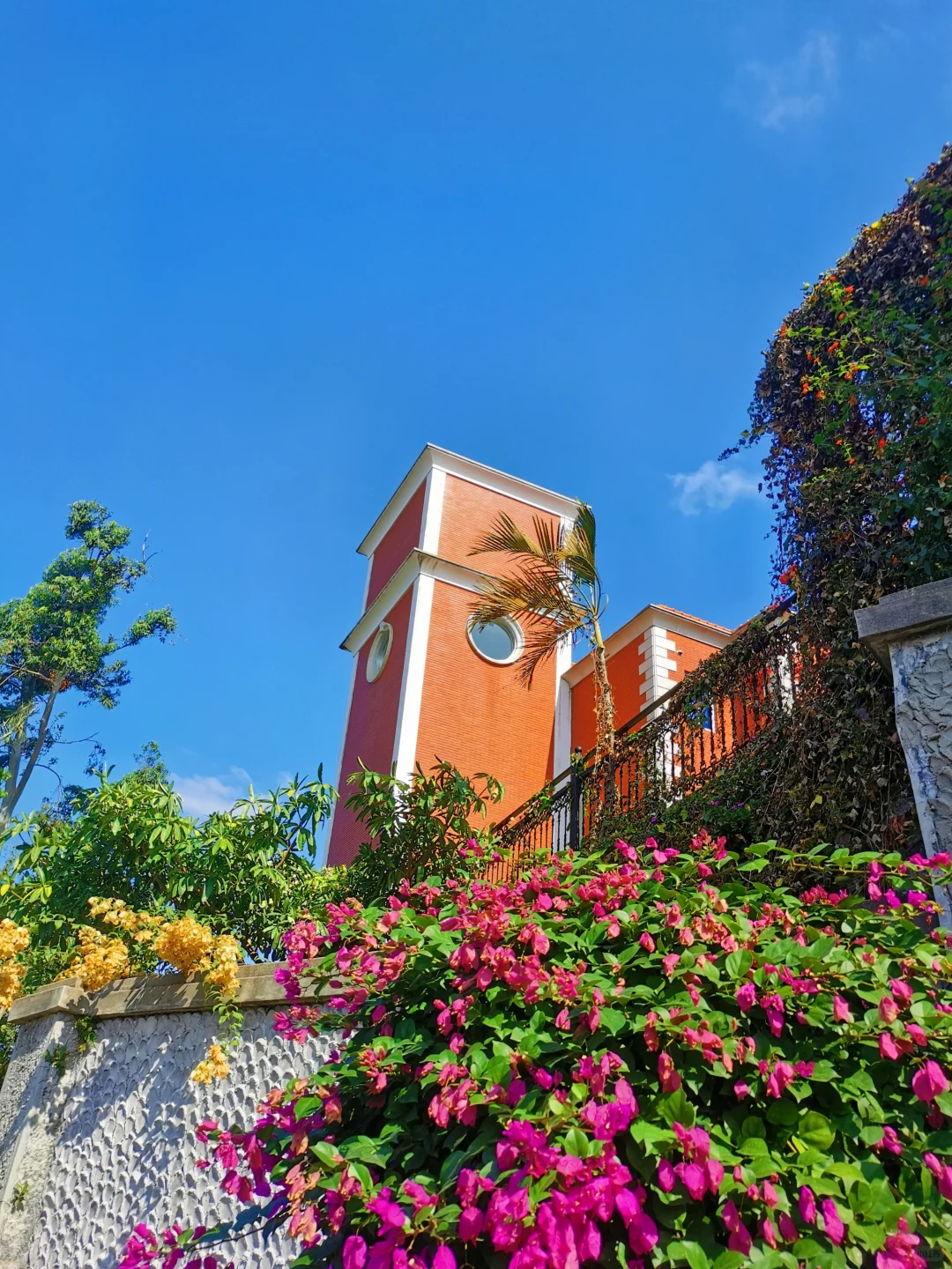 📍鼓浪屿的浪漫，花与海各占一半