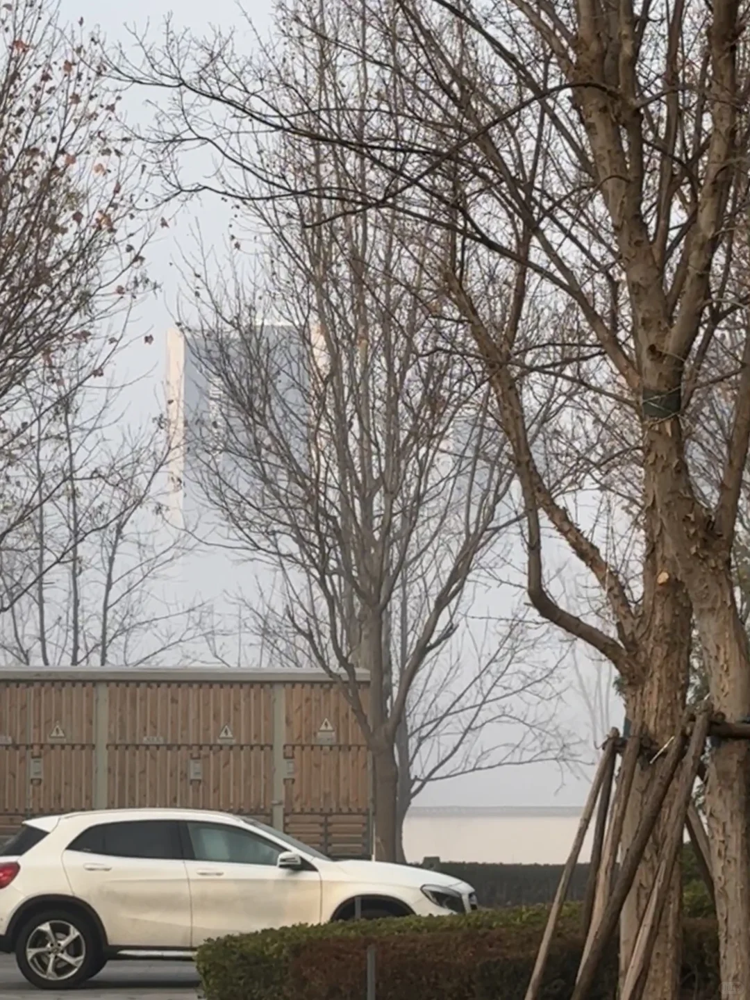 今天的郑州真让人恍惚