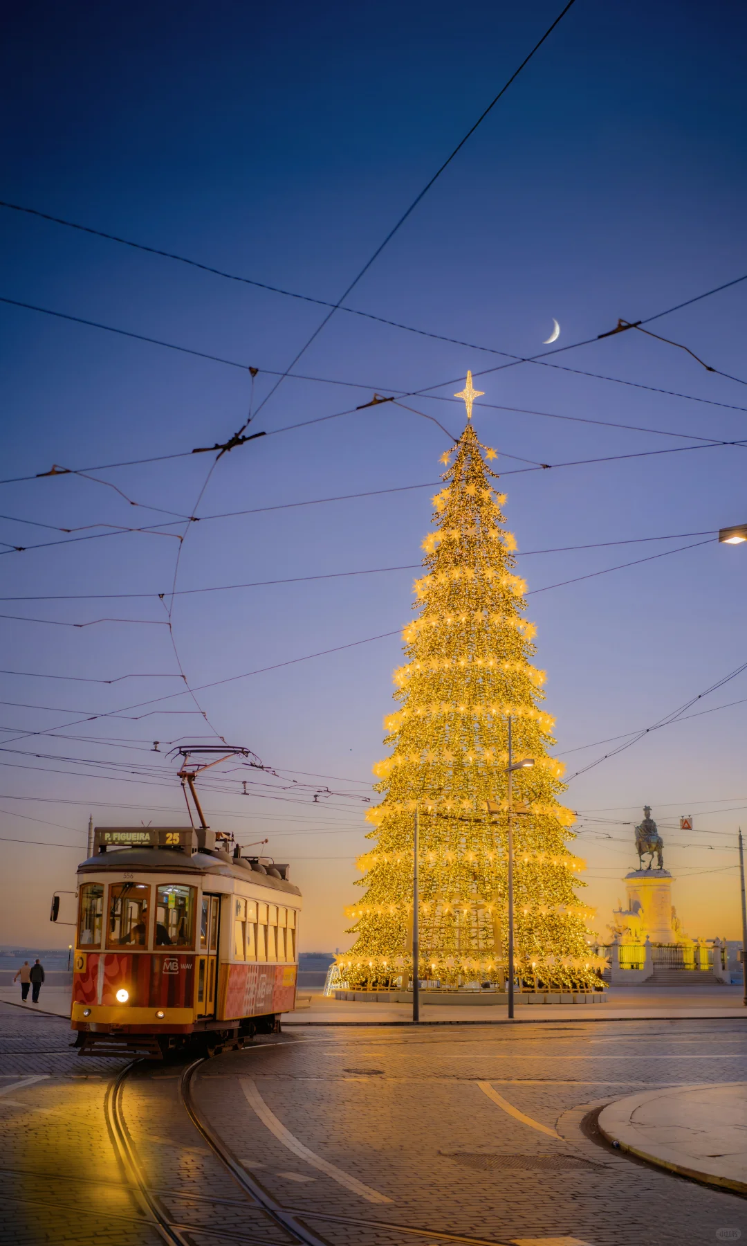 用中画幅哈苏拍照的第一年 📷