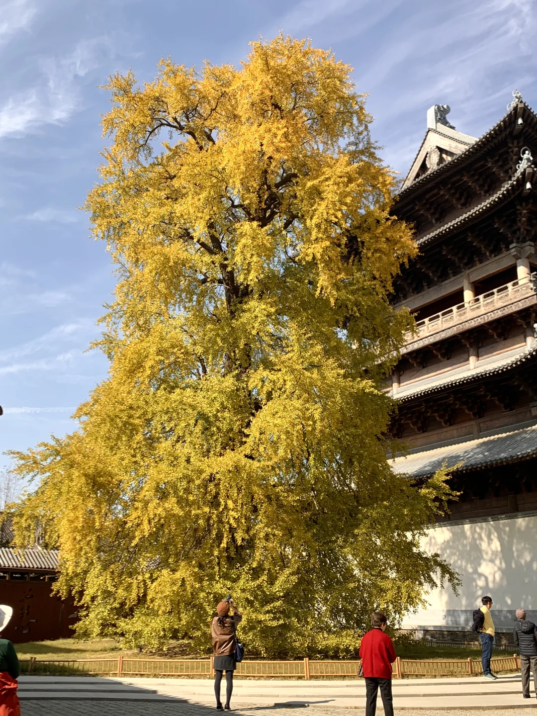 江浙沪严重被低估的宝藏古镇！！！（附攻略