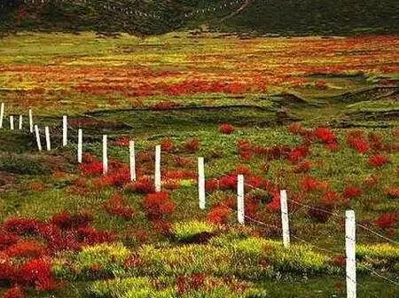 12月份底去哪旅游好 四大绝佳旅行地推荐