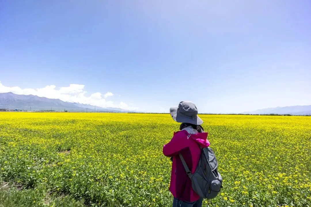 青海旅游自由行旅游推荐,私人靠谱导游详解3日游行程规划