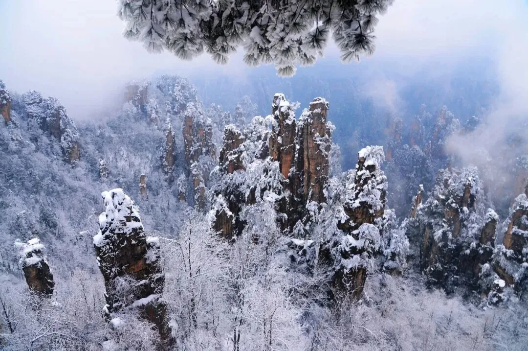 冬季张家界旅游攻略 张家界必玩景点+行程安排+旅游花费+避坑指南+口碑导游推荐 玩转仙境,避坑省钱全指南