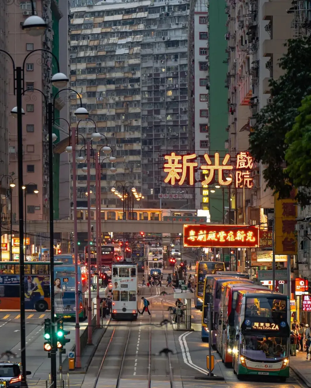 香港 11 个必去景点!哪个你还未曾去过?