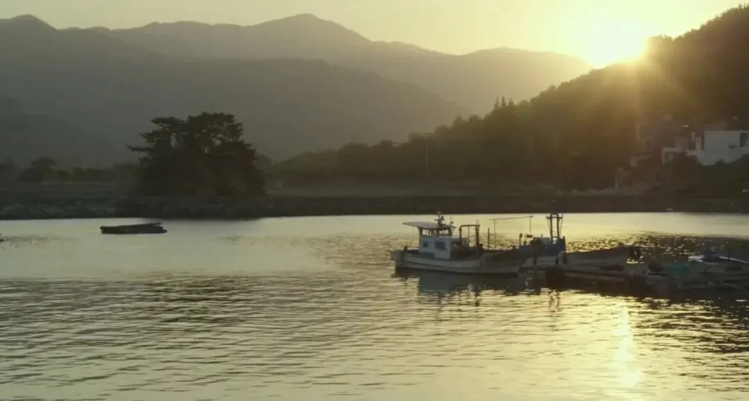 一场旅游,暴露了我们家庭最深的谎言