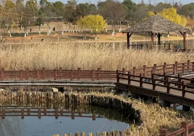 长沙县这五大宝藏景点,你打卡过几个?据说全去过的人不超过10%!