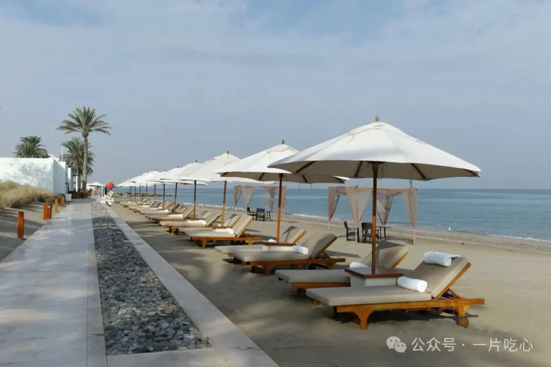 中东旅游今年大热 这个冷门国家我大力推荐!