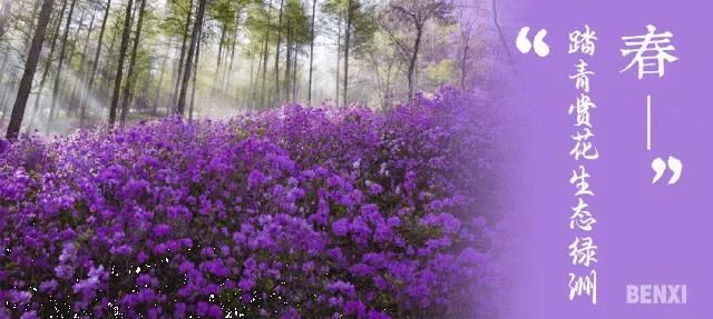 喜报!桓仁“旅游产业赋能县域经济高质量发展”案例入选2024中国产业影响力案例