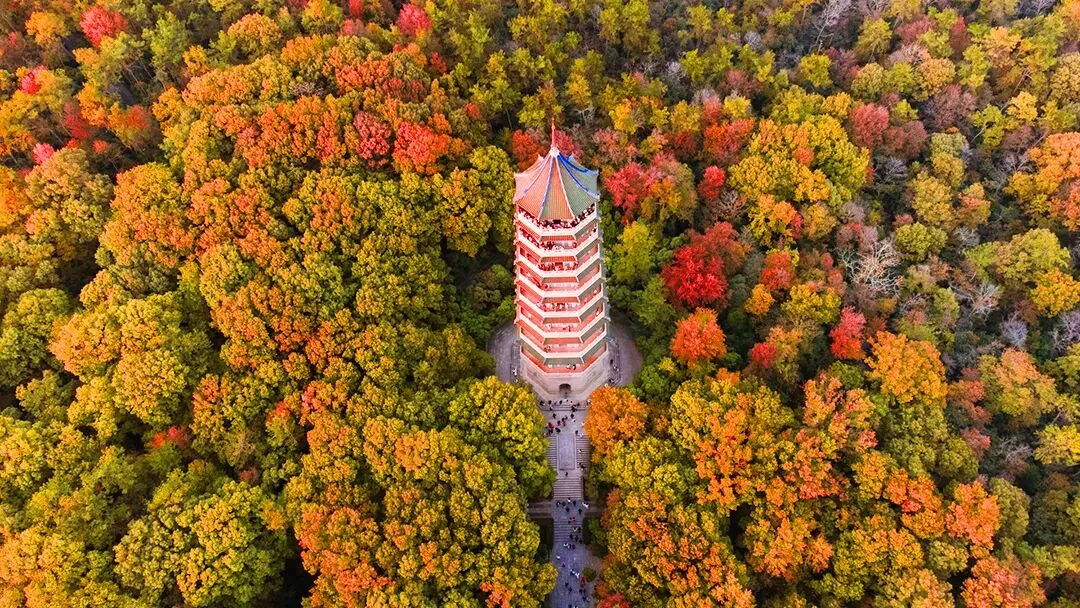 春节全家住景区内传奇国宾馆,¥599周末除夕不加价!出门皆地标,私享园林,畅游温泉泳池!