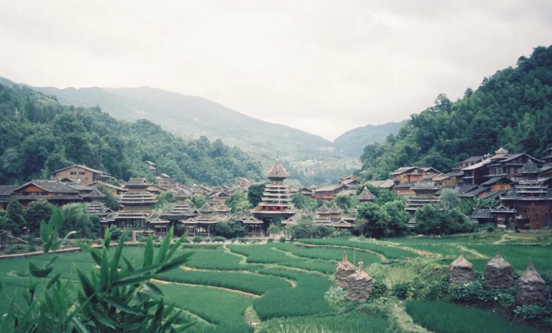 大量浙江人涌入贵州黔东南,打着旅游的幌子,不吃酸汤鱼不看苗寨,有什么想法吗