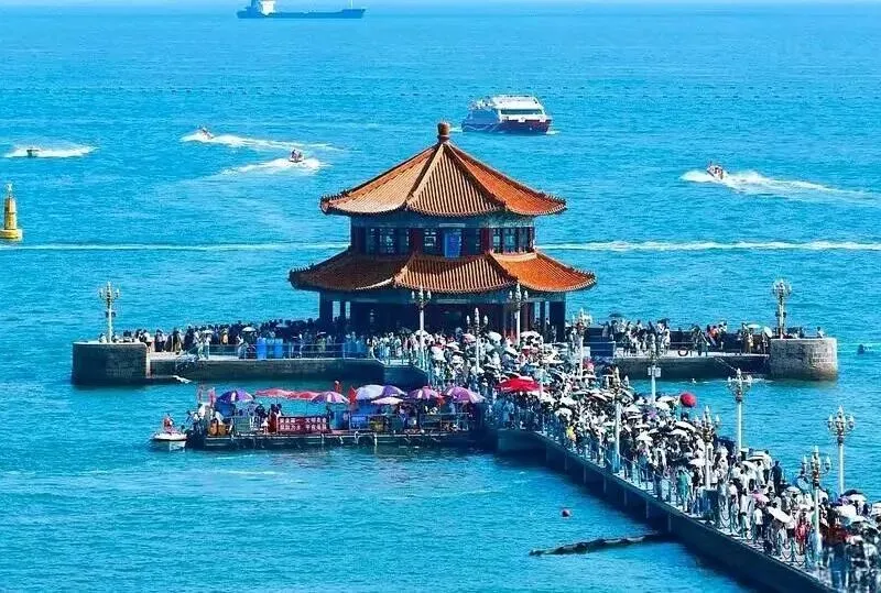 元旦期间,大量日本游客涌入青岛,打着旅游幌子不逛栈桥不吃啤酒蛤蜊,为什么?