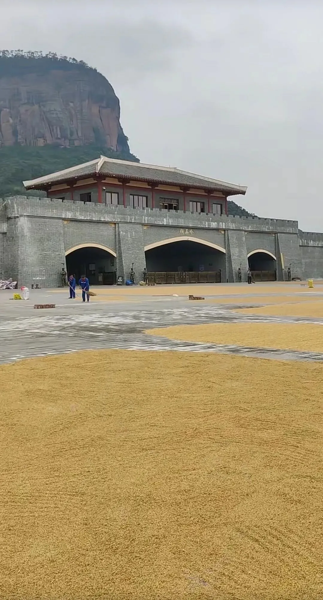 北流铜石岭景区的广场成了晒谷场?