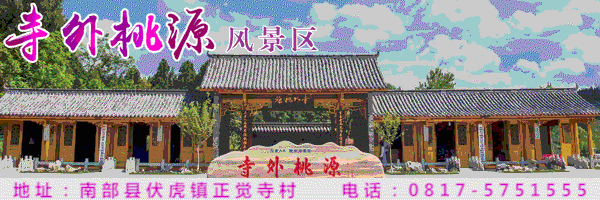 凝聚智慧 共促发展|南部县文创进景区座谈会圆满举行