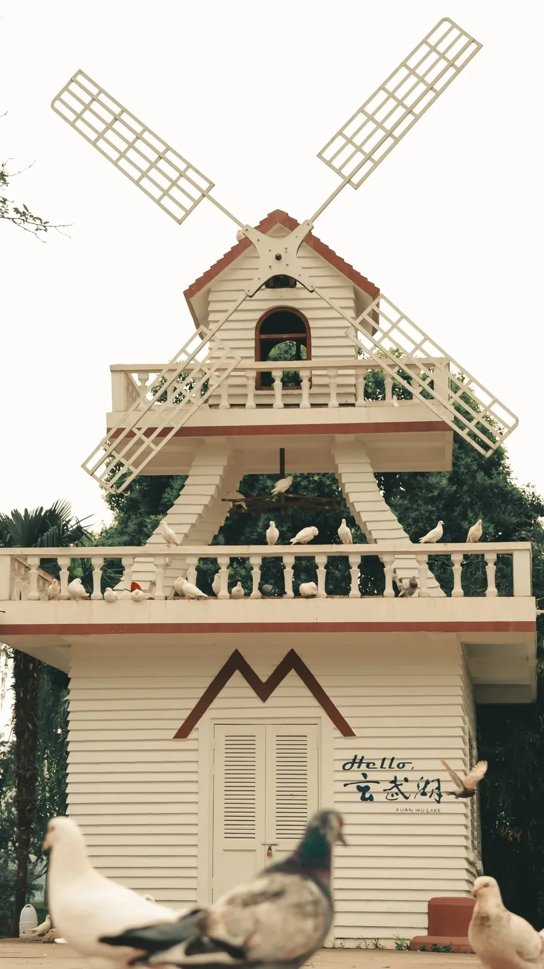 南京小众出片景点!情侣园