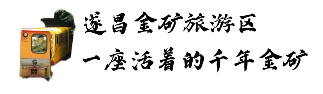 新年第一会,安全第一位!遂昌金矿景区召开2026年安委会扩大会议