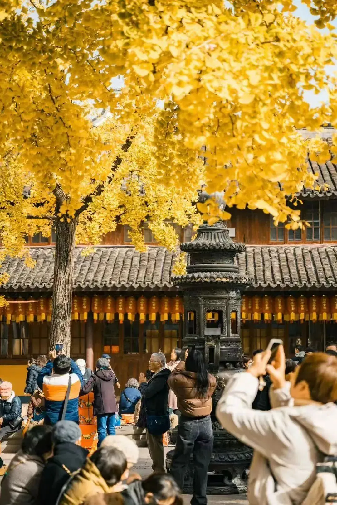 上海的市区,竟藏着这些银杏秘境+热门景点秋日玩法!心累了就去走走