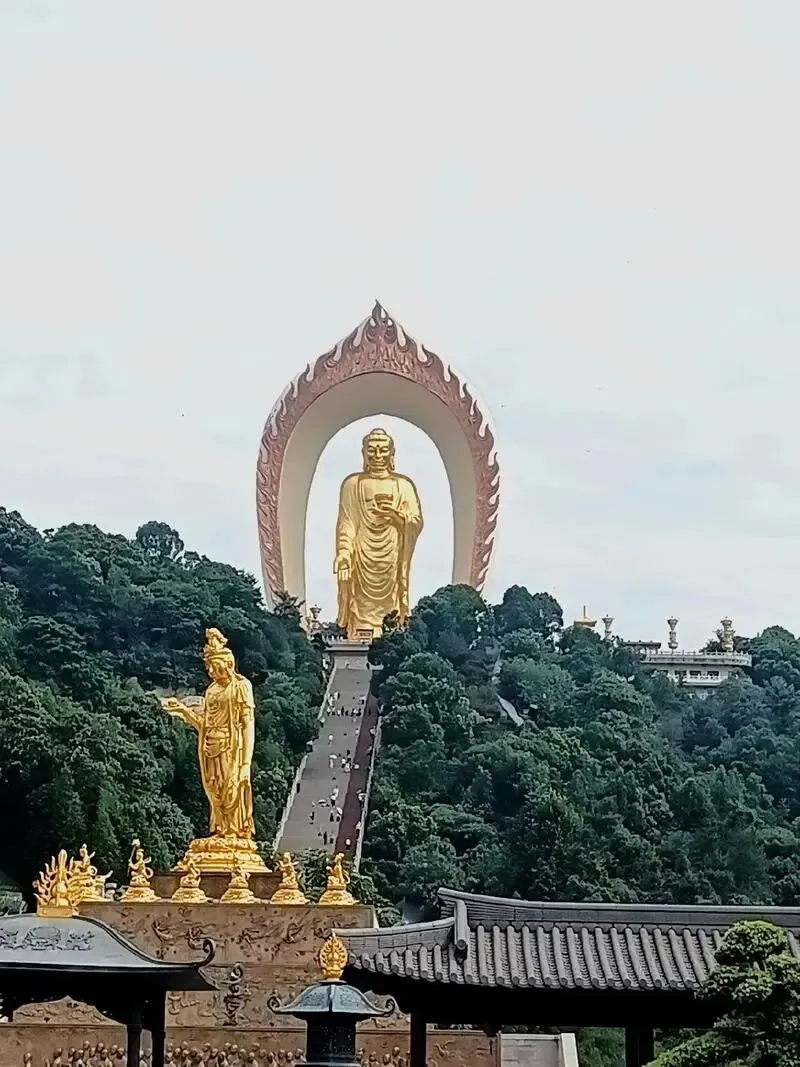 大量日本游客涌入九江市,打着旅游幌子不逛庐山不吃庐山三石,为什么